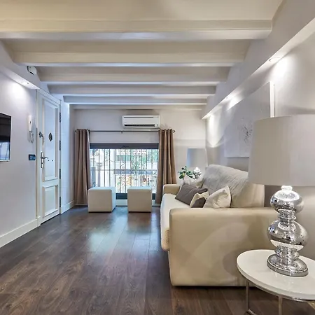 Bbarcelona Rogent Flats Barcelona